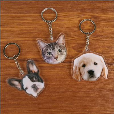 Thị trường thú cưng ngách dành cho 2023 22 Screenshot 7