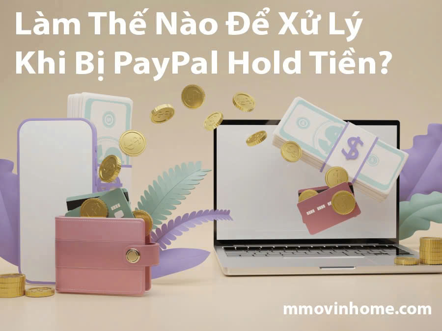 Làm Thế Nào Để Xử Lý Khi Bị PayPal Hold Tiền?