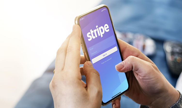 cho thue cong stripe7