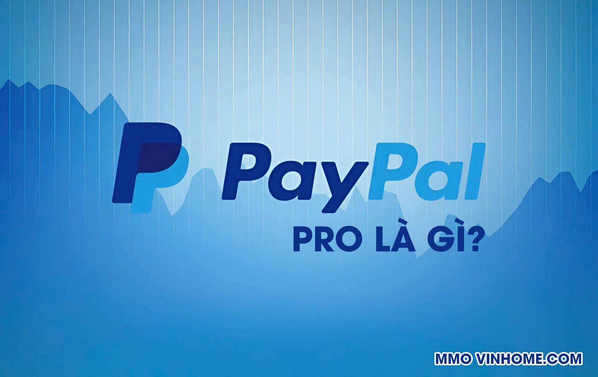 PayPal Pro Là Gì?
