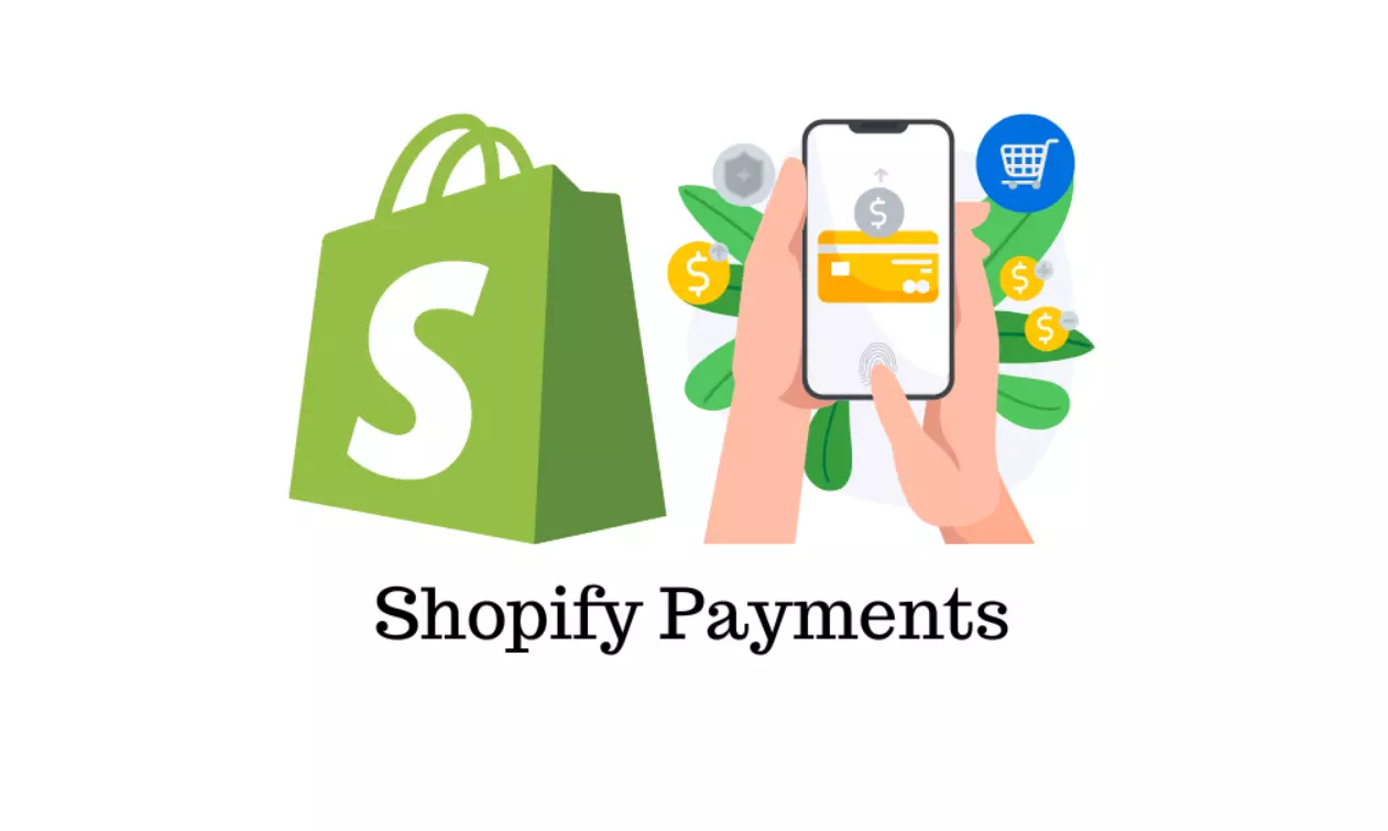 thay doi mo ta sao ke cong thanh toan shopify